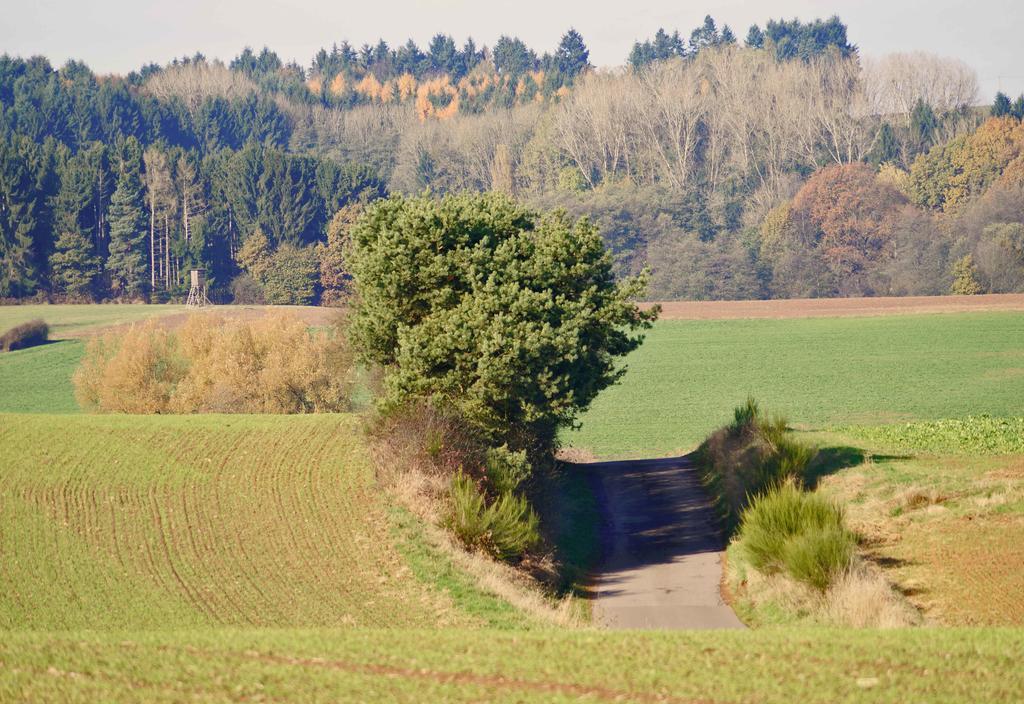 Saarlandtraum Weihermuehle Schmelz Exterior foto